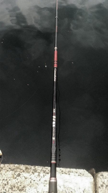 くろねこ流紀州釣りに挑戦！！